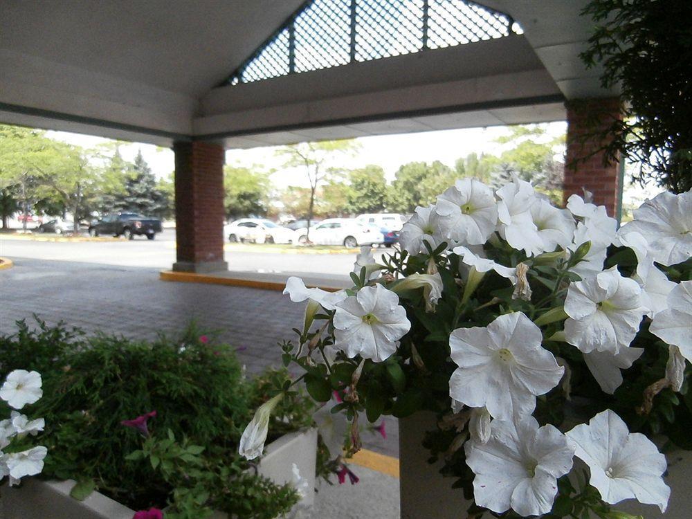 Holiday Inn Express Hamilton-Stoney Creek المظهر الخارجي الصورة